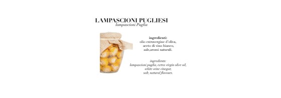 CATALOGOWEBORTOCICCIO19